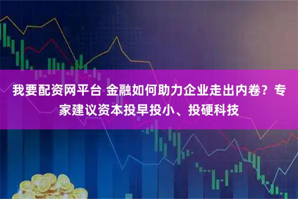 我要配资网平台 金融如何助力企业走出内卷？专家建议资本投早投小、投硬科技