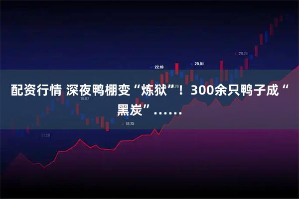 配资行情 深夜鸭棚变“炼狱”！300余只鸭子成“黑炭”……