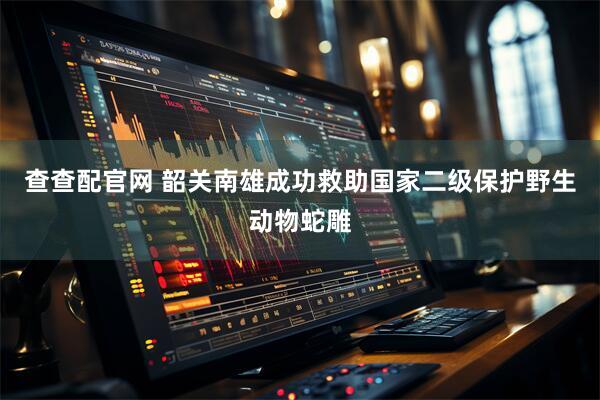 查查配官网 韶关南雄成功救助国家二级保护野生动物蛇雕