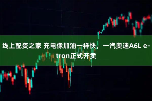 线上配资之家 充电像加油一样快，一汽奥迪A6L e-tron正式开卖